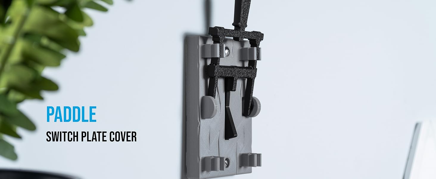 Double Toggle Switch