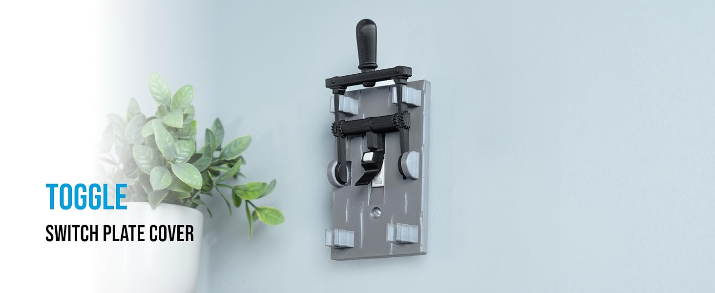 Paddle Switch