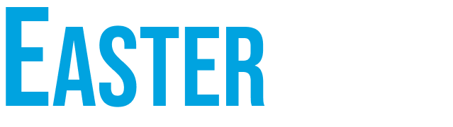 BUY 1 GET 1 - 50% OFF